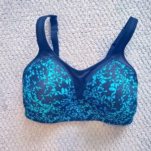 Champion Black Blue Dry Sports Bra